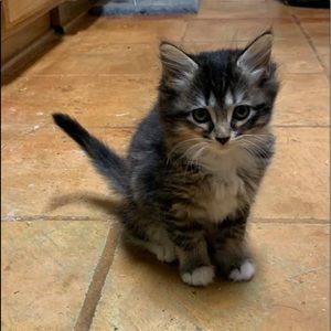 Meet your Posher, Charlotte